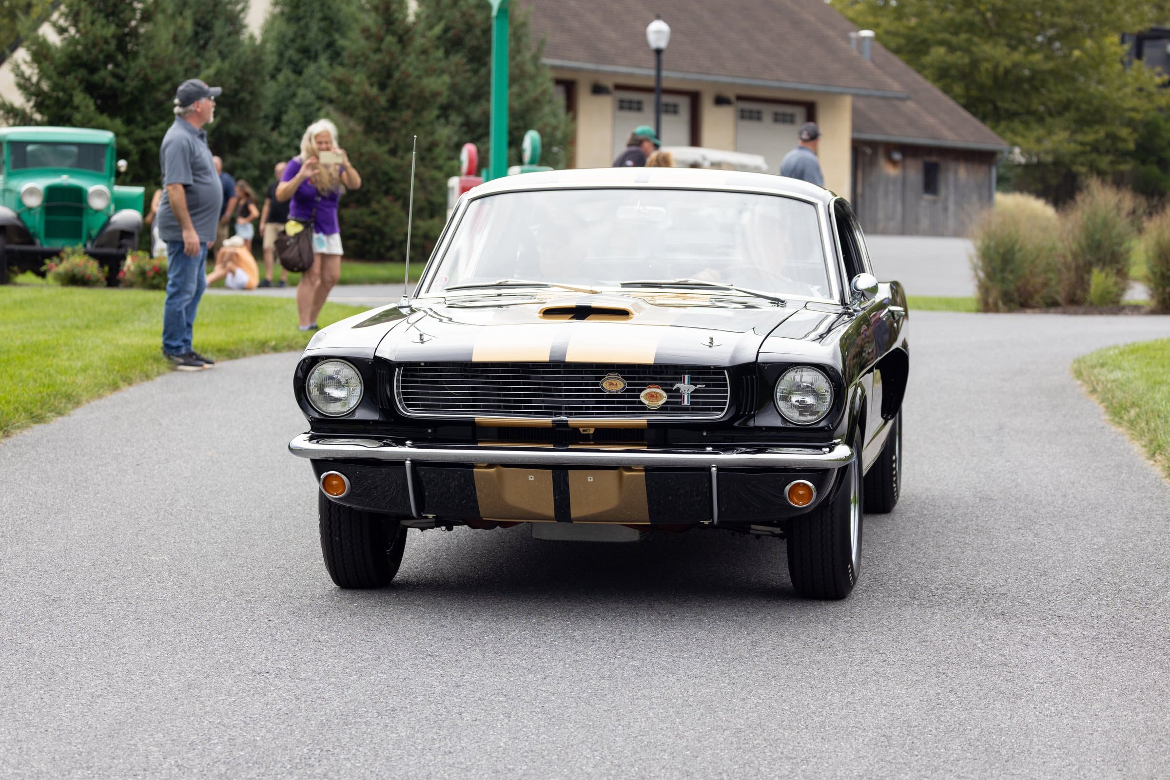 Shelby GT350H in black and gold, under way